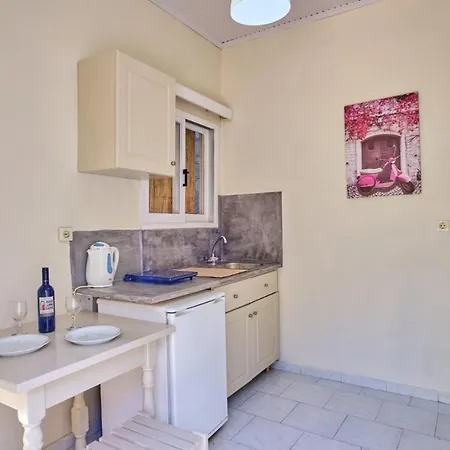 Διαμέρισμα Vintage Studio 4 *